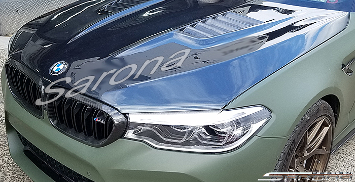 2015 BMW 5 Series Hood
