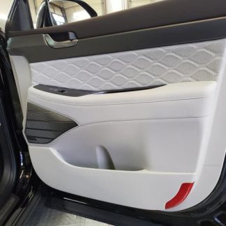 2023 Hyundai Palisade Front Door Passenger (RH)